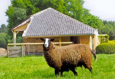 Bijgebouwen; tuinhuis, tuinberging, overdekt terras, carport, poolhouse, ...