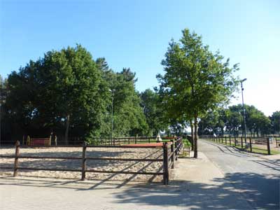 Landbouw