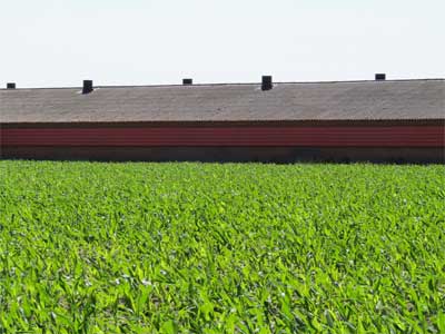Landbouw