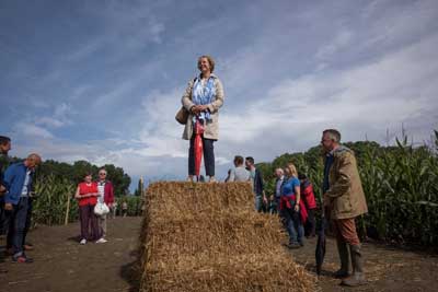 Omgevingswerken / Buitenaanleg