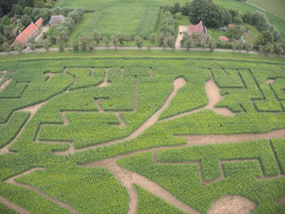 Omgevingswerken / Buitenaanleg