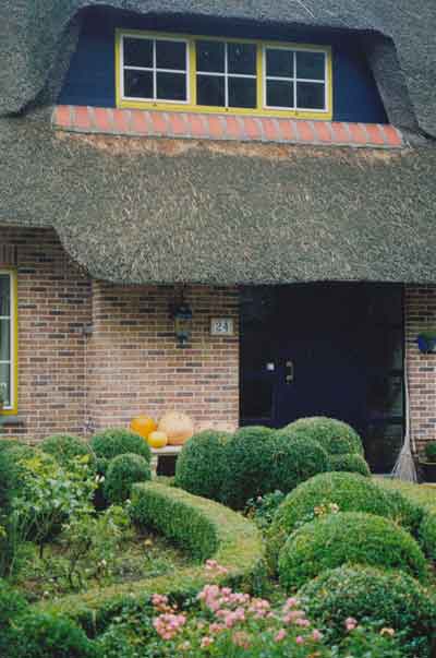 Renovaties / Restauraties / Klassiekere projecten