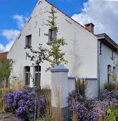 Renovaties / Restauraties / Klassiekere projecten