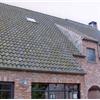 Renovaties / Restauraties / Klassiekere projecten